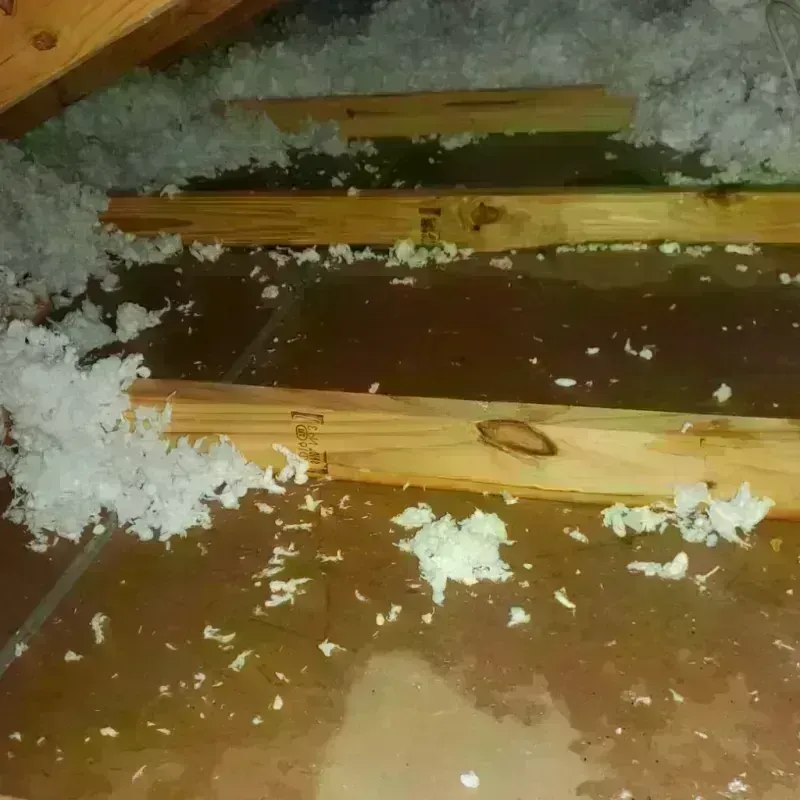 Attic Water Damage in Coldstream, KY